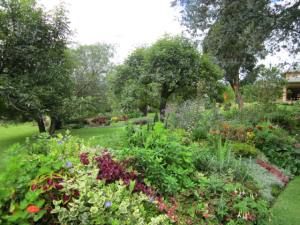 the grounds at Pakakuna Gardens