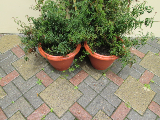 concrete pavers instead of slippery tile or marble, safer when raining